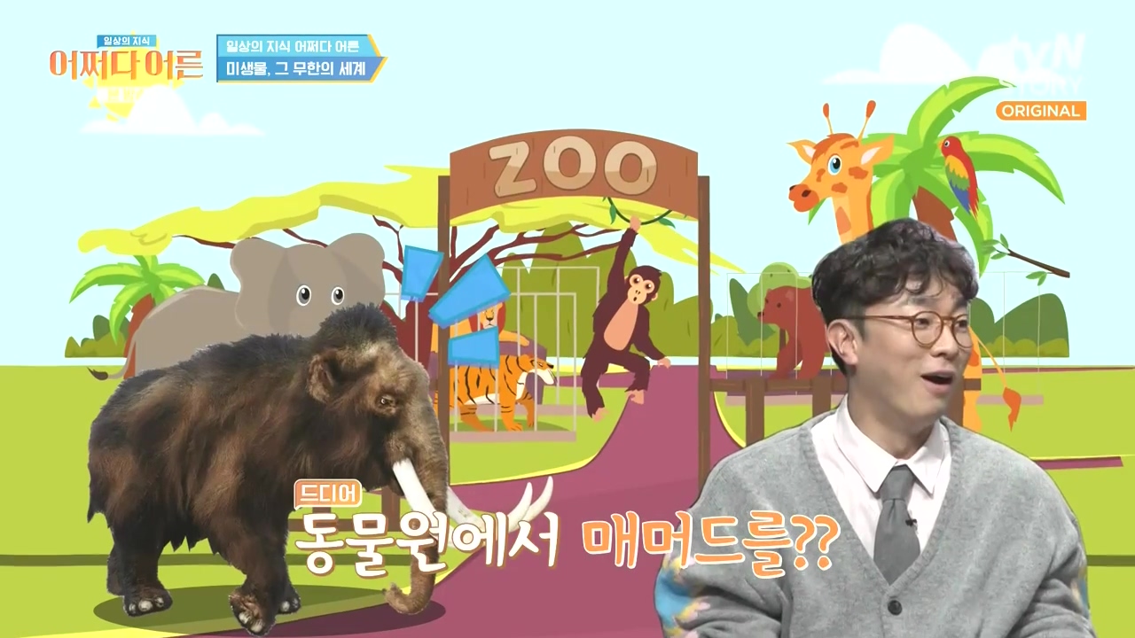 어쩌다 어른.E51.240410p-NEXT.mp4_20240410_170539.679.jpg