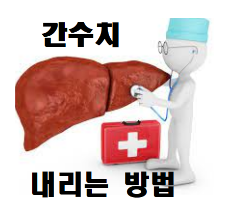  간수치 내리는 방법 완벽 정리 (좋은 음식들)
