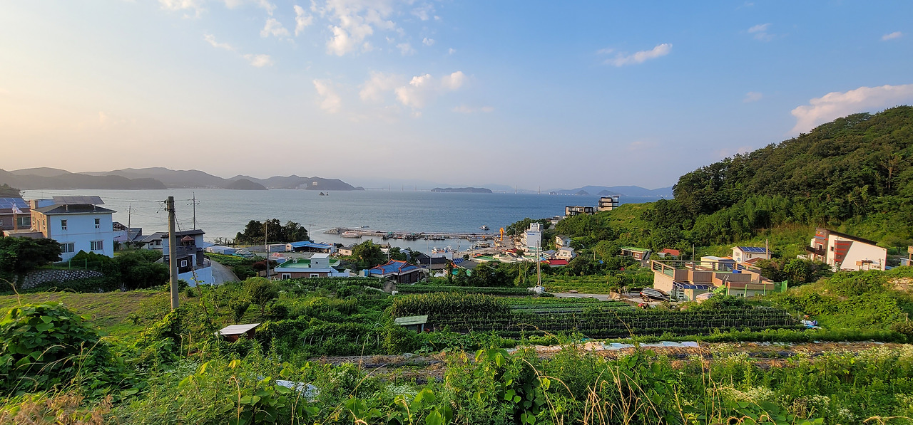 거제도 언덕 위에서 내려다본 항구 마을과 초록 들판 풍경. 오른쪽엔 숲이, 왼쪽엔 주택들이 보이며 멀리 바다와 다리가 이어지는 고요한 저녁 시간대의 전경.