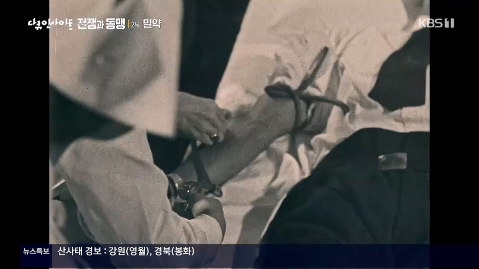 다큐 인사이트.E155.230629p.H264-F1RST.mp4_20230708_190414.661.jpg