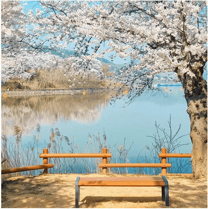 국내 여행지 추천