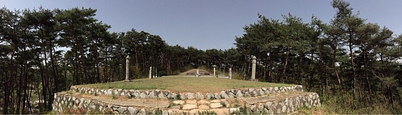  청백정신의 상징적 유물, 장성 박수량 백비