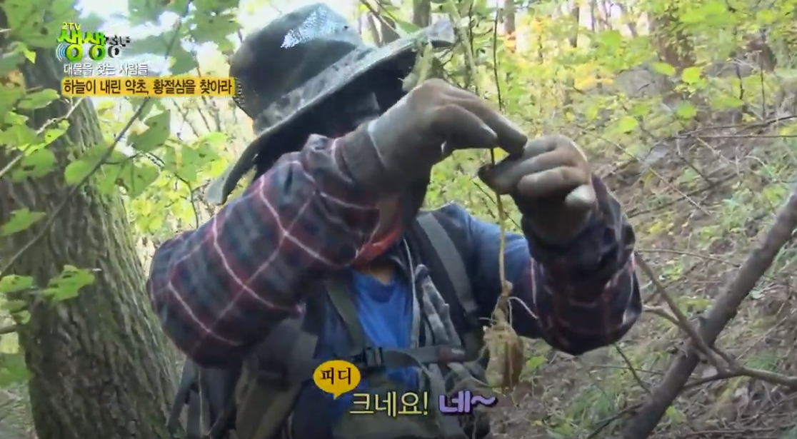  황절삼 30년산 가격 궁금증 해결