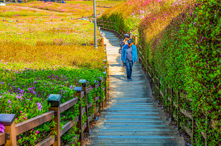 군포철죽동산