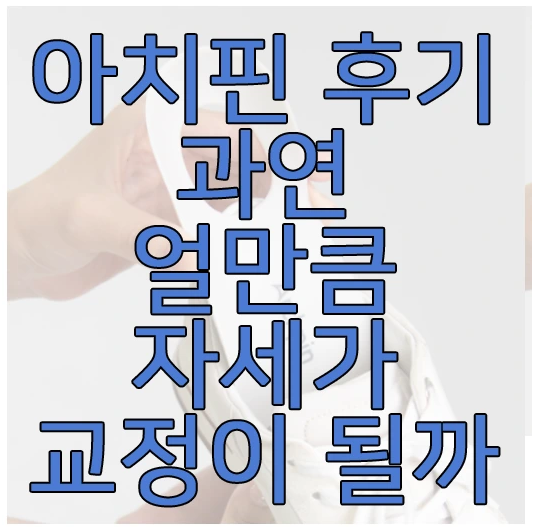 아치핀에 관한 글 보러 가기 링크 사진