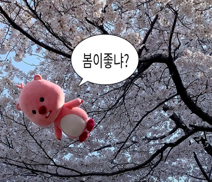 뽀로로 루피짤 루피짤모음 잔망루피짤 루피 저격짤 루피 웃긴짤 루피 공항도둑짤 군침 싹 도노 뽀로로 루피짤 루피짤모음 잔망루피짤 루피 저격짤 루피 웃긴짤 루피 공항도둑짤 군침 싹 도노