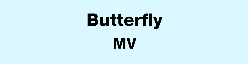 butterfly 뮤비