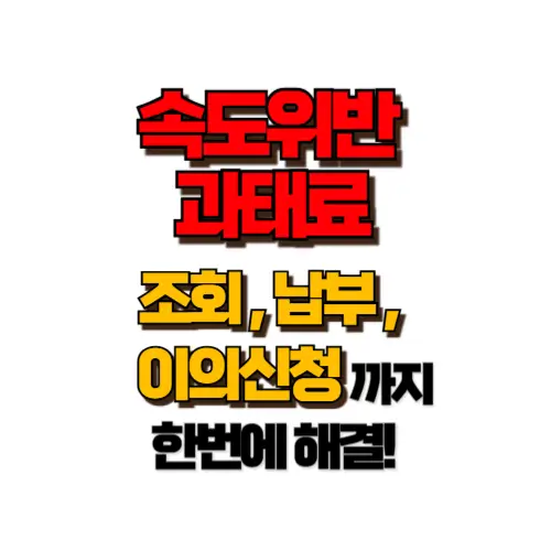 속도위반 과태료 썸네일