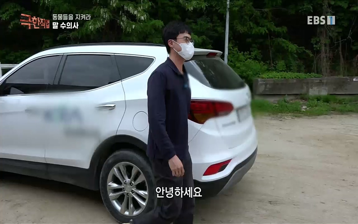 TV - 교육의 중심 EBS동물들을 지켜라, 수의사와 유기 동물 구조팀.mp4_20220913_200144.545.jpg