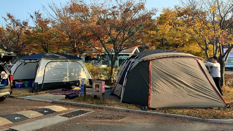  국립공원 학암포야영장 D1,D2 사이트에서 살쪄서 온 후기