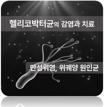 헬리코박터
