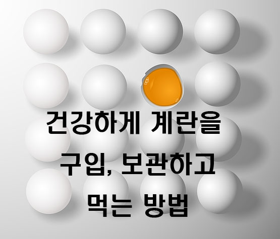  계란을 건강하게 구입하고 보관하고 먹는 방법