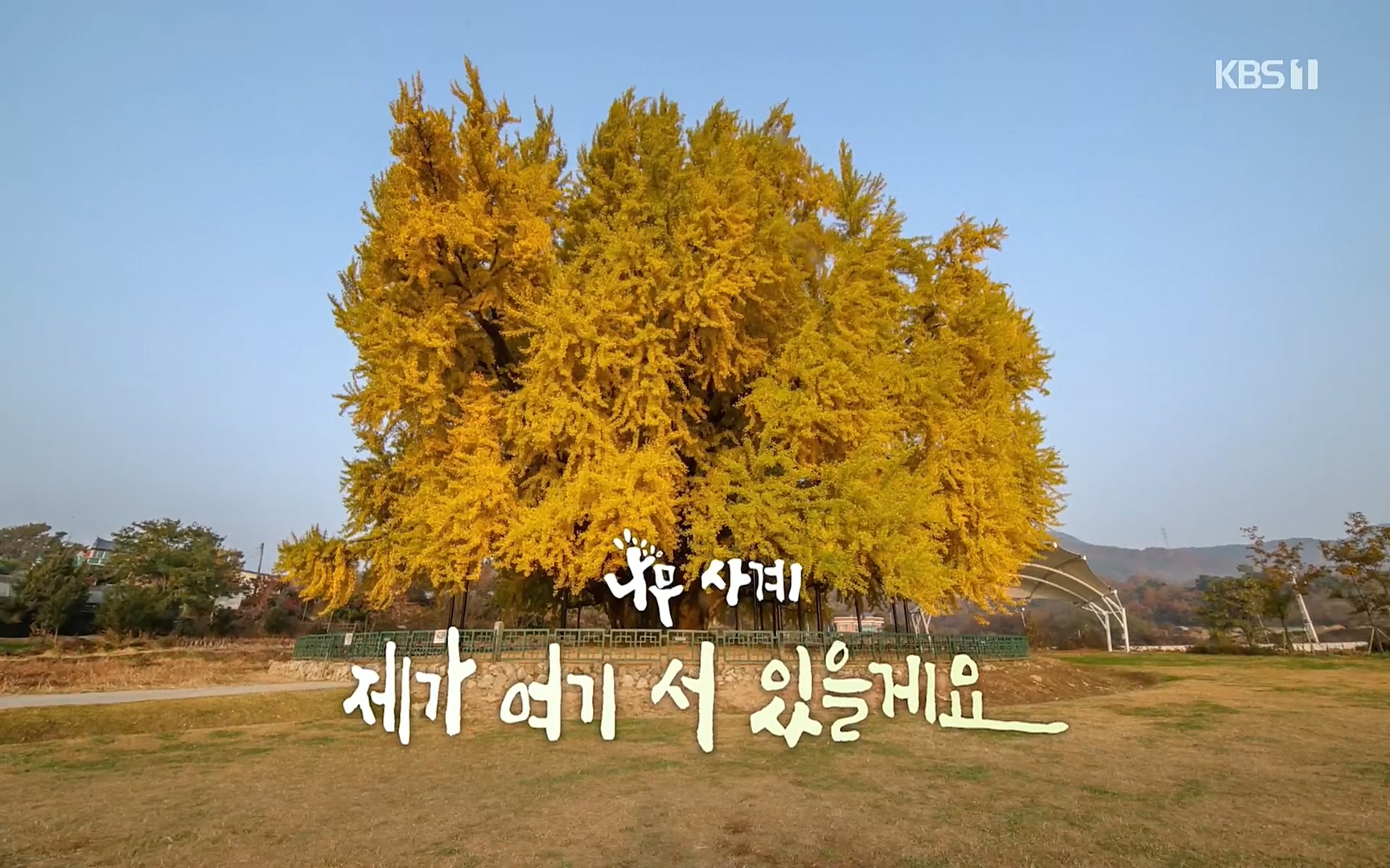 다큐 인사이트.E124.220908p.H264-F1RST.mp4_20220912_142430.784.jpg