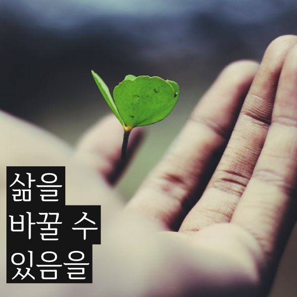 내 일생에서 가장 커다란 변화  (좋은글귀 명언 모음 / 좋은 글귀 모음)