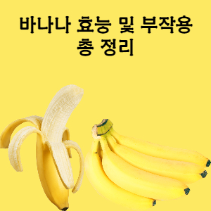  바나나 효능 및 부작용 총정리