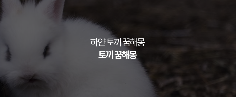 토끼 꿈해몽