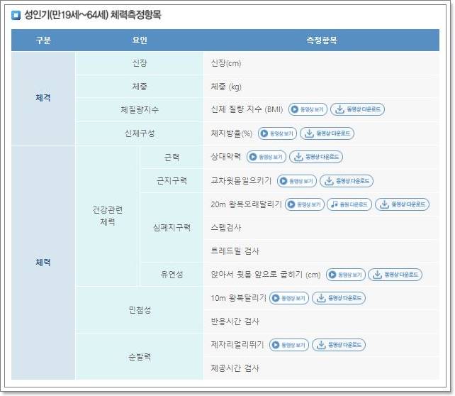 성인기-체력측정항목