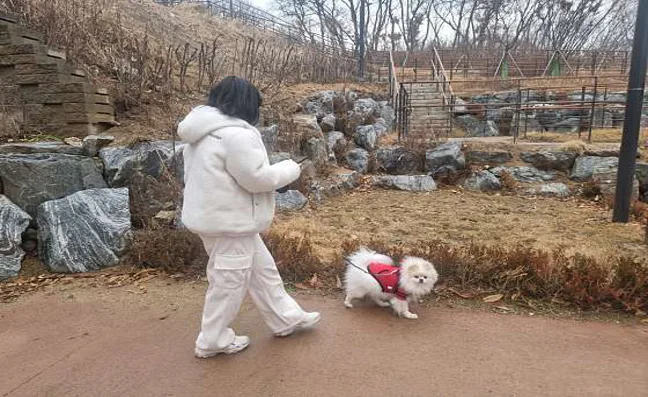 노태근린공원