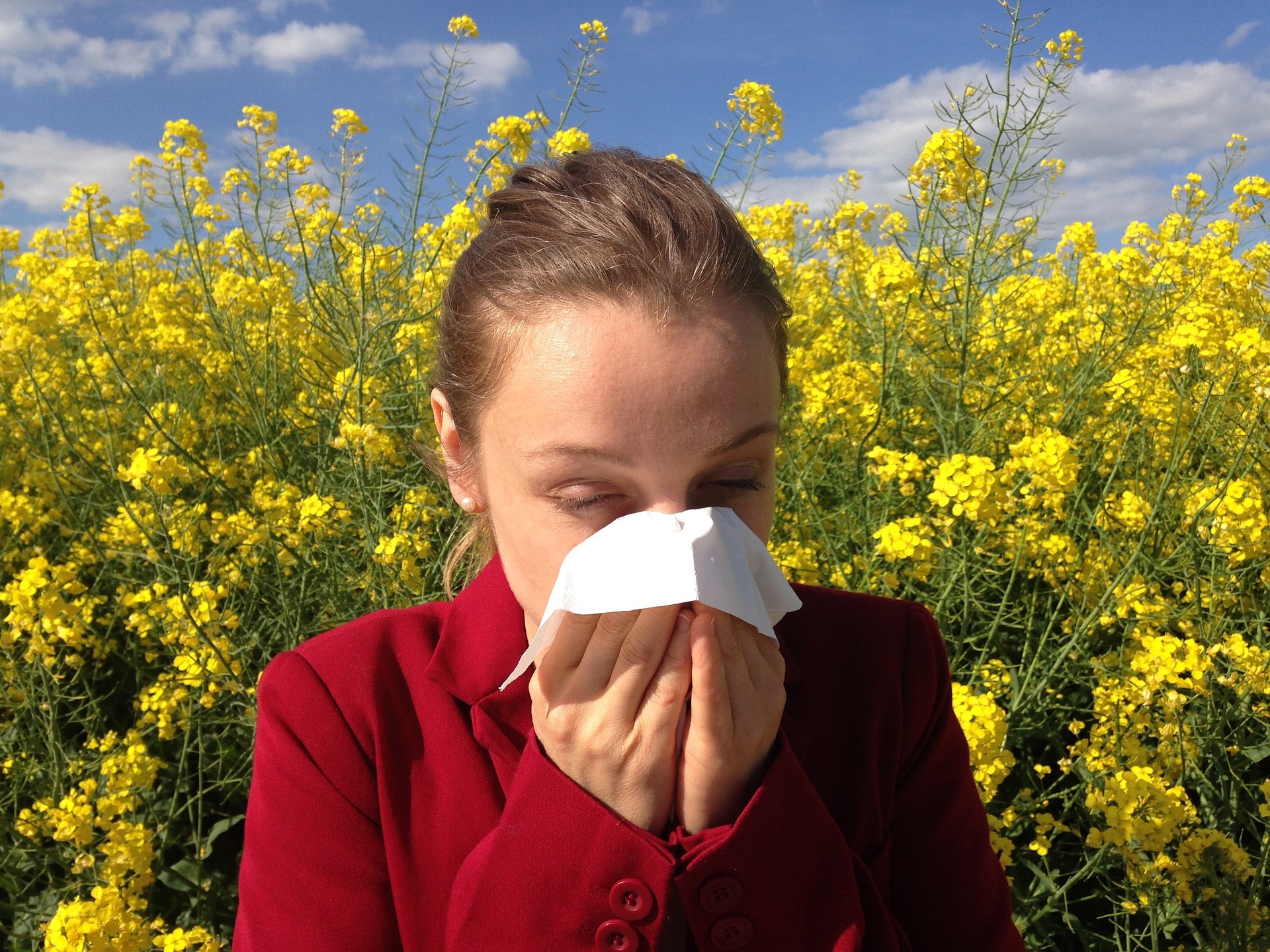 꽃이 많이 곳에 있지만&#44; 꽃가루 알러지에 의한 알러지성 비염 때문에 휴지로 코를 풀고 있는 여성 사진