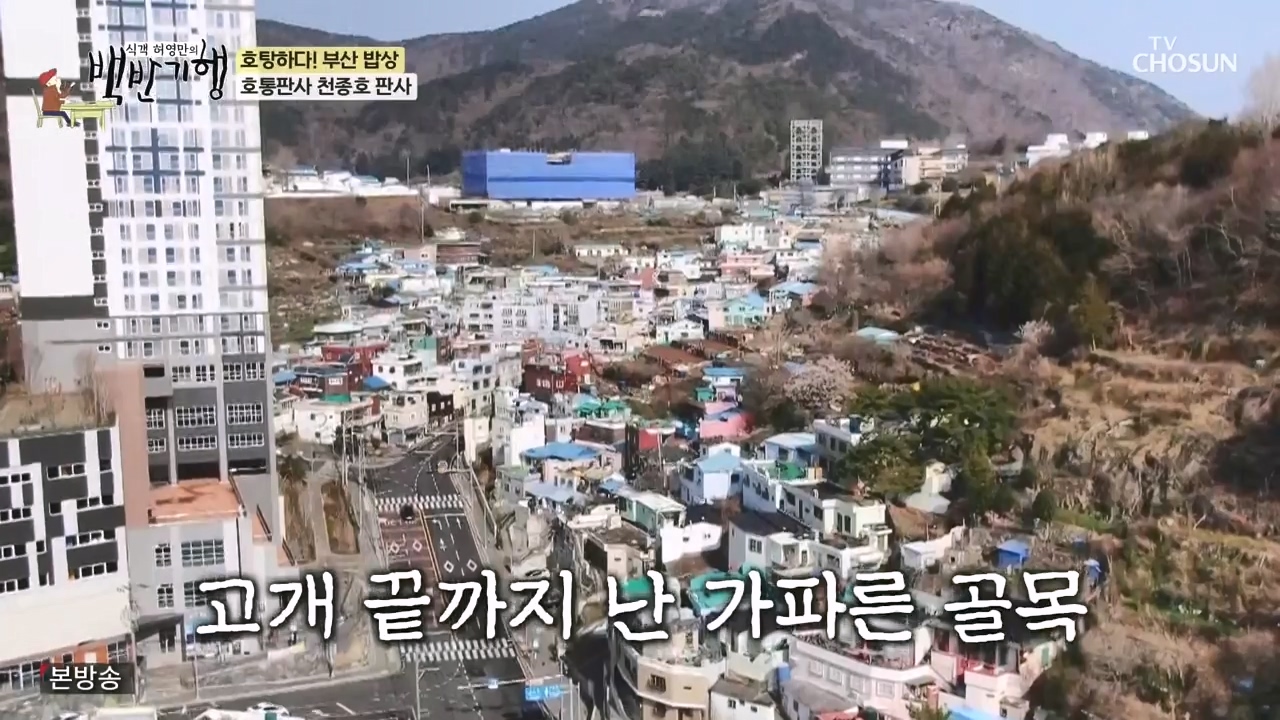 식객 허영만의 백반기행.E242.240408p-NEXT.mp4_20240408_194946.309.jpg