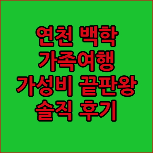 연천 백학자유로리조트 솔직 후기! 가