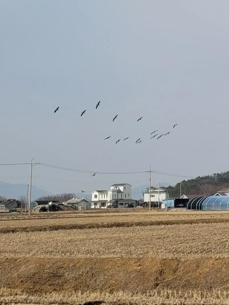 한탄강 물윗길