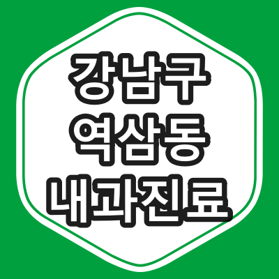 서울시 강남구 역삼동 내과 전문의 진료하는 동네 병원