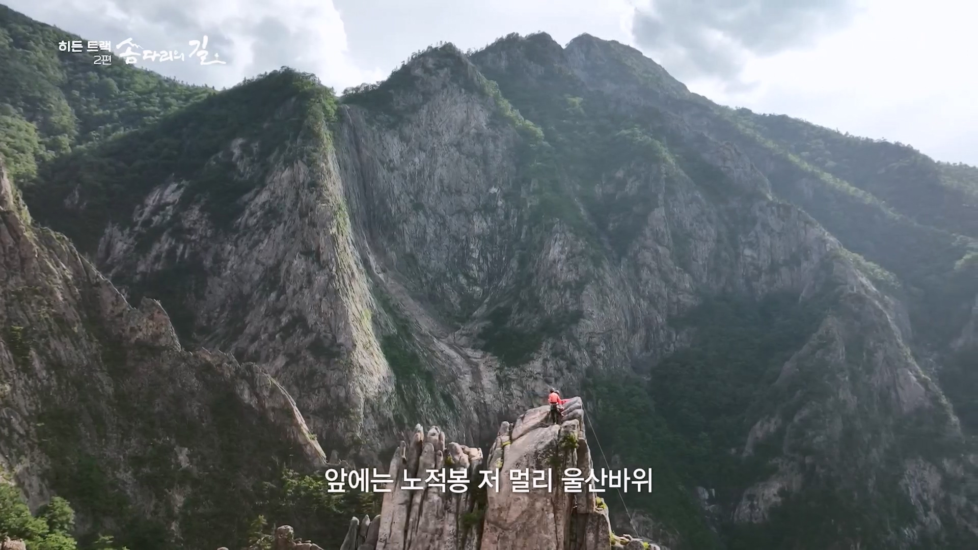다큐 인사이트.E02.231215p.H264-F1RST.mp4_20231216_183012.421.jpg