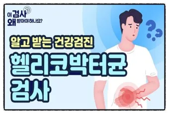 헬리코박터균 제균 치료 치료방법 성공률_21
