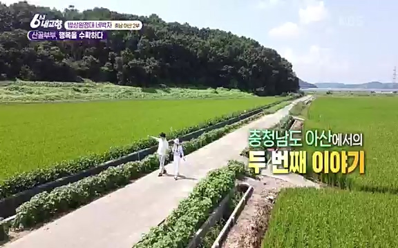 [7612회] 6시 내고향 - KBS7612회] 6시 내고향.ts_20220912_174124.700.jpg