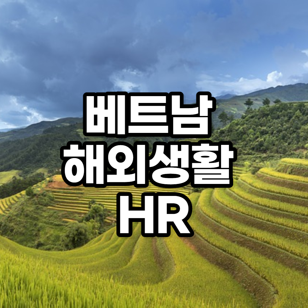 베트남 인사 채용 노동법 산업 소개