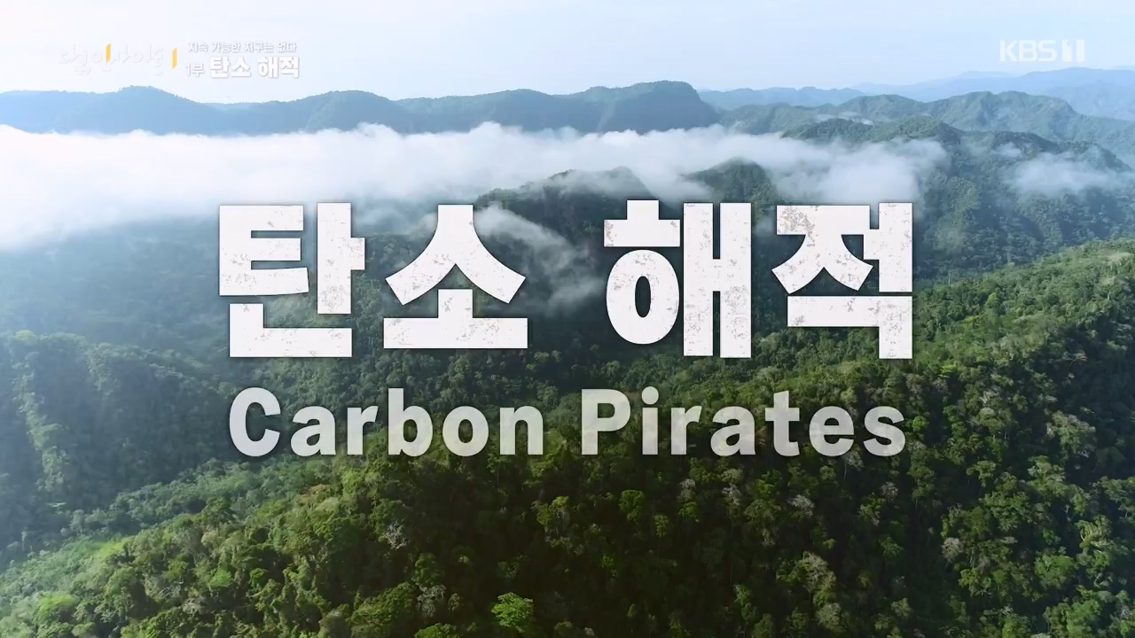 다큐 인사이트.E177.240112p-NEXT.mp4_20240113_155844.900.jpg