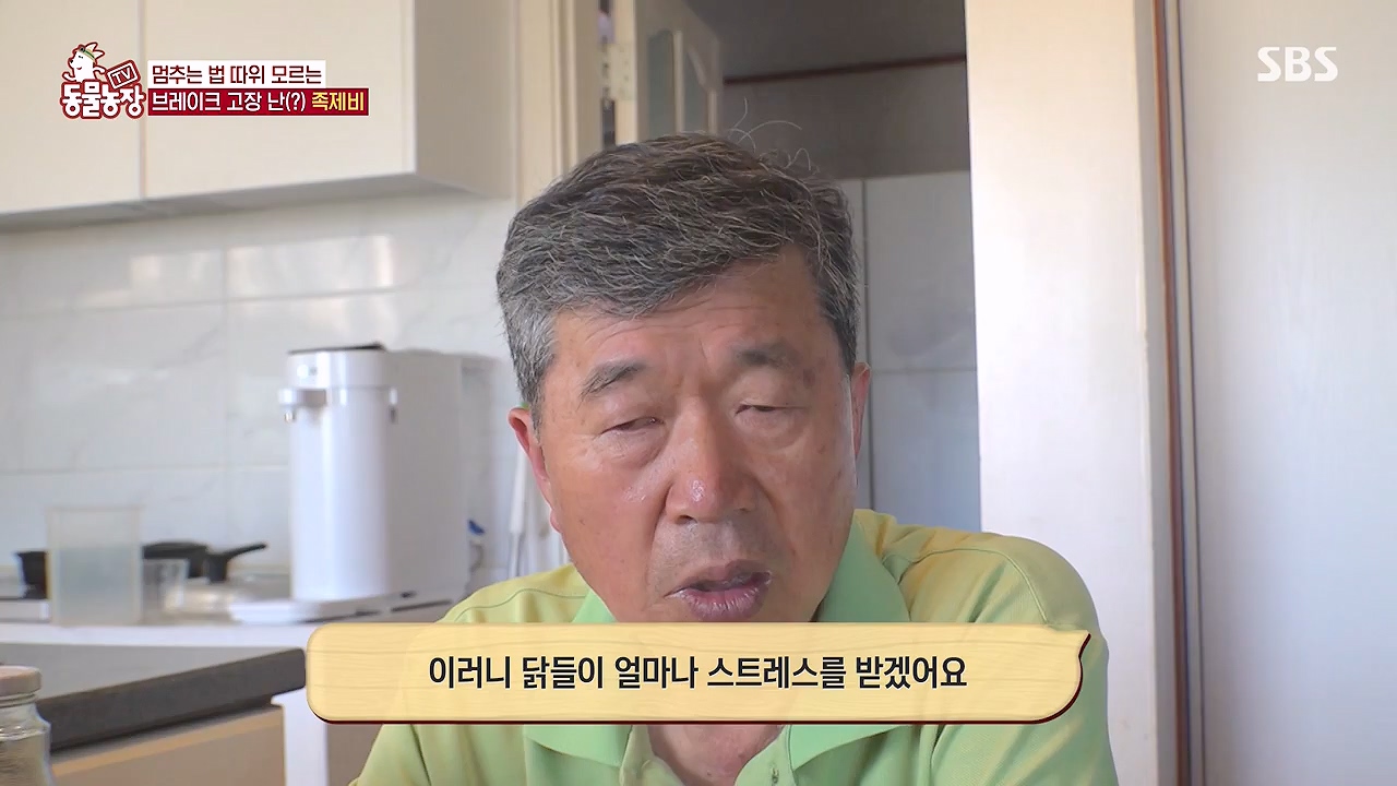 TV 동물농장.E1176.240617p-NEXT.mp4_20240616_171026.517.jpg