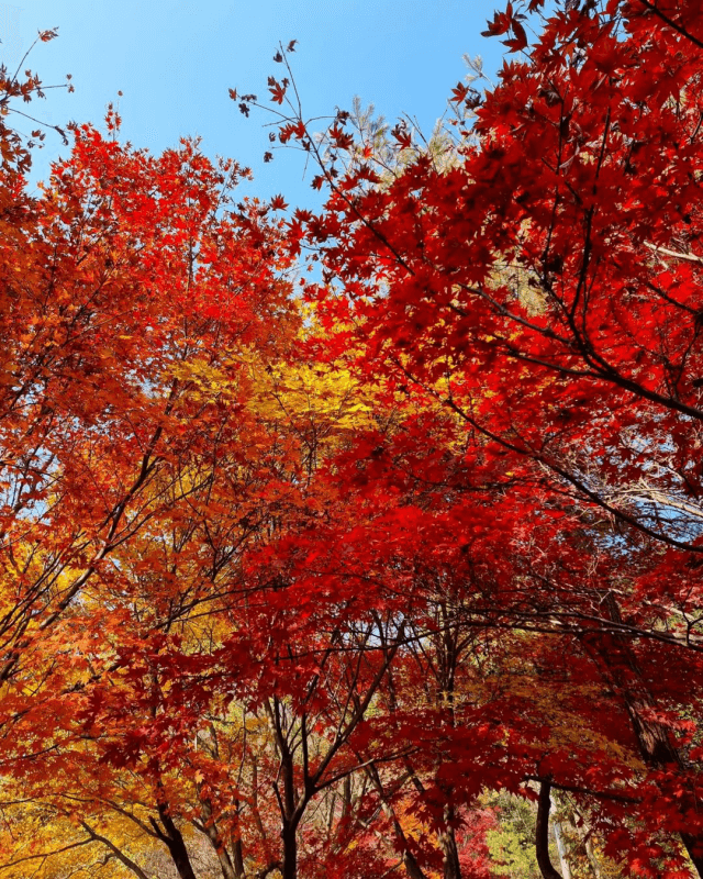 섬지캠핑장-사진