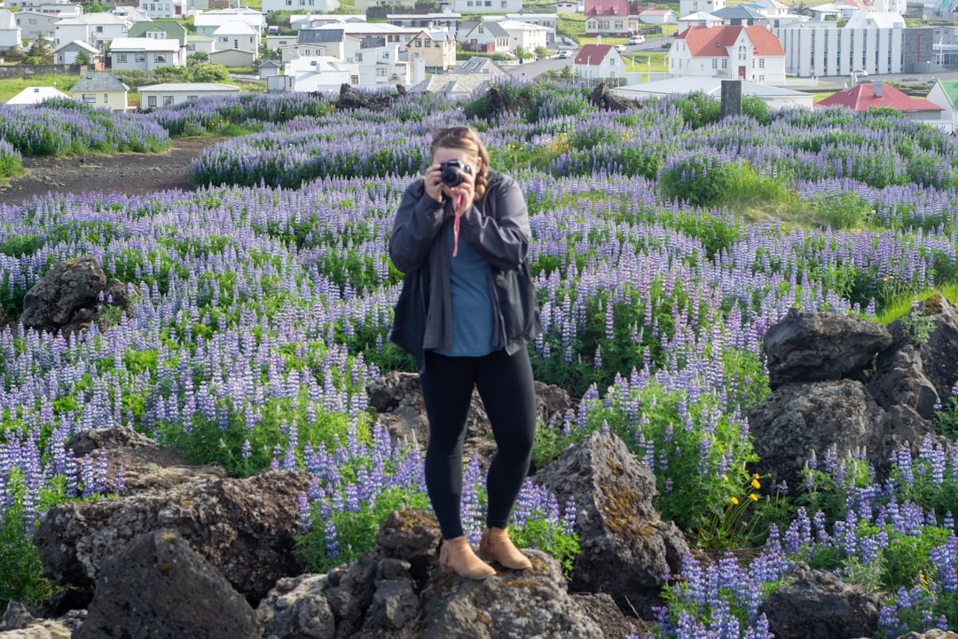 Herb Island