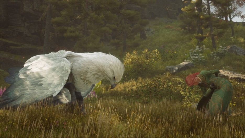 (Hogwarts Legacy) 사소한 게임 스크린샷 모음 62