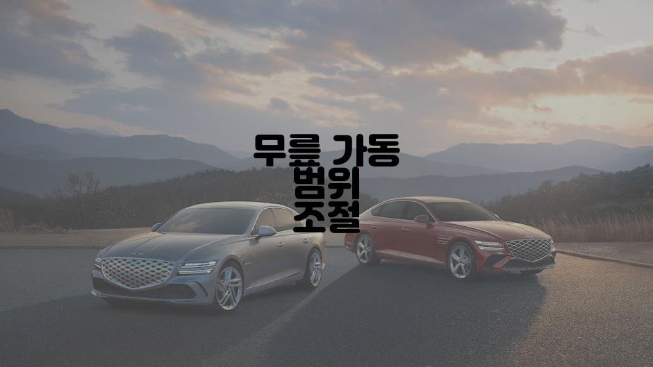 무릎 가동 범위 조절