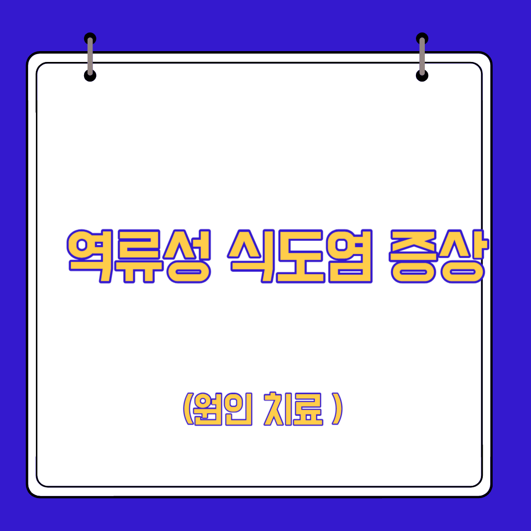  역류성 식도염 증상 원인 치료