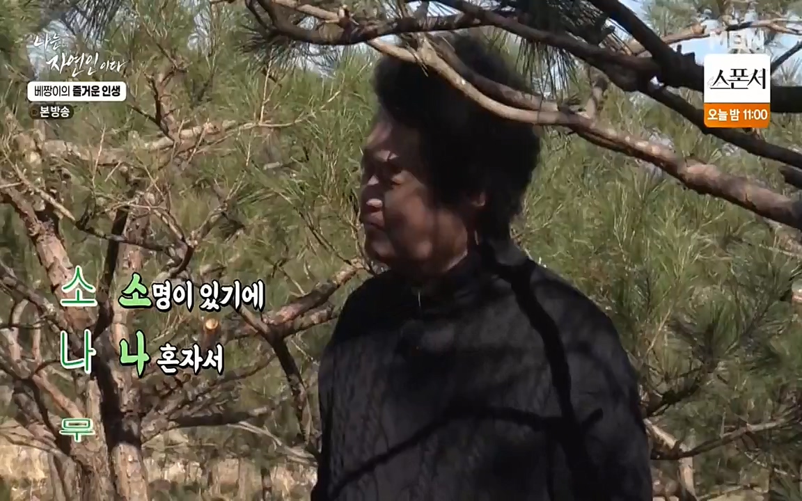 나는 자연인이다.E495.220331p-NEXT.mp4_20220331_174354.653.jpg