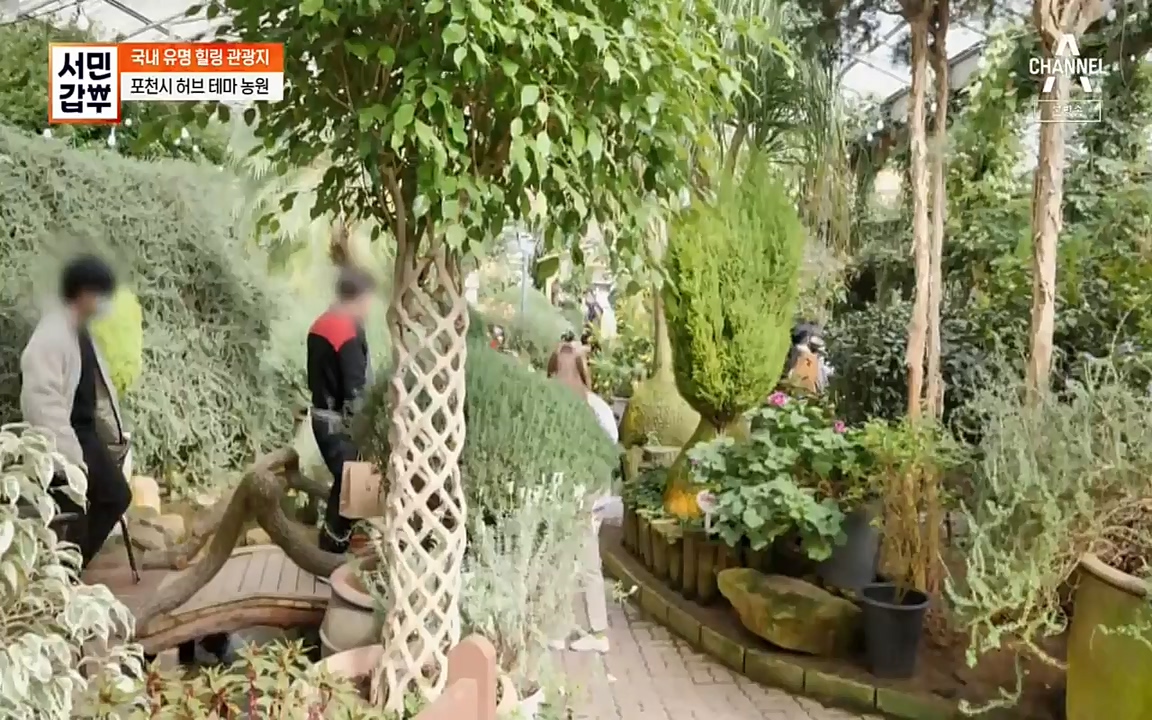 서민 갑부.E380.220424p-NEXT.mp4_20220424_184333.557.jpg