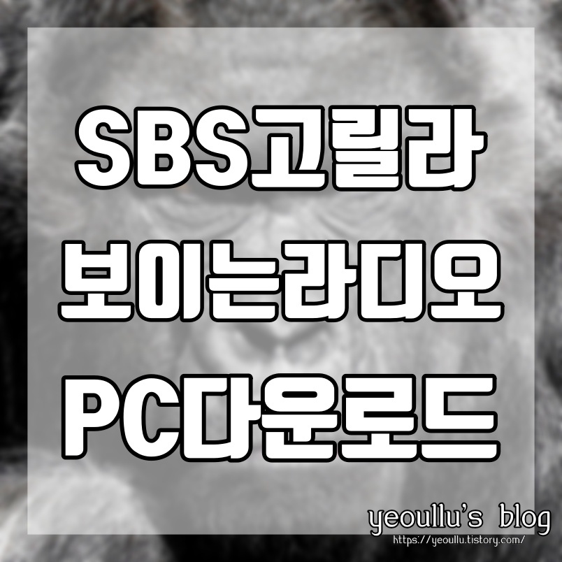  보이는 라디오 SBS 고릴라 PC버전 다운로드