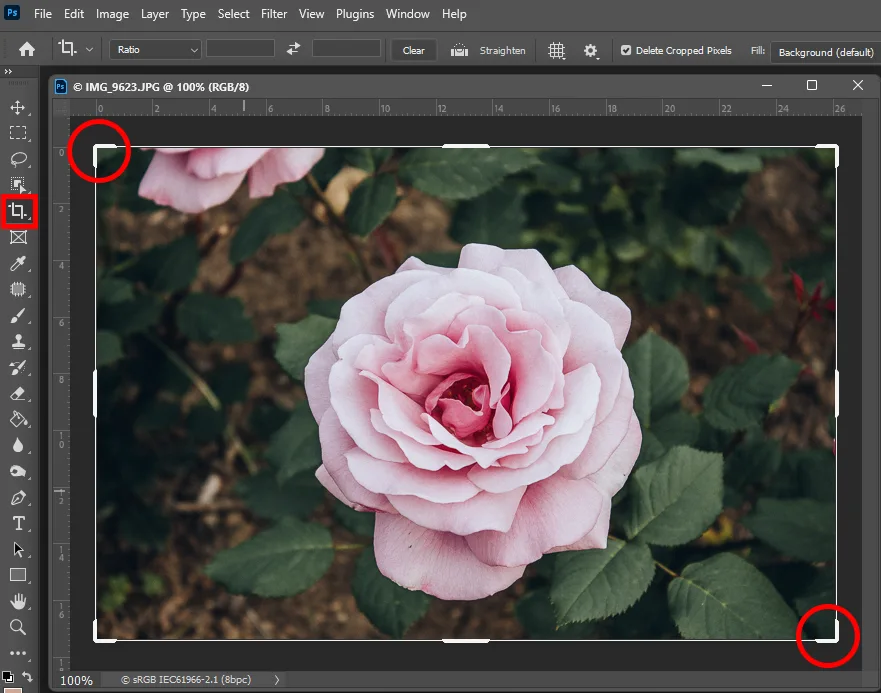 포토샵 크롭툴로 사진 자르는 모습