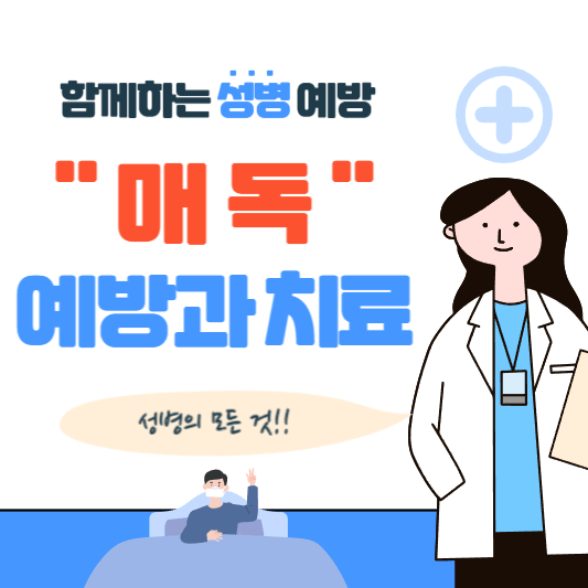  매독 증상 및 원인, 치료 건강한 성생활을 위한 필수 가이드