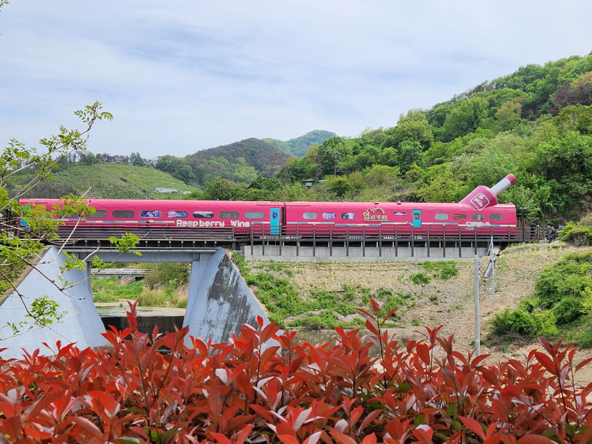 김해 낙동강 레일파크