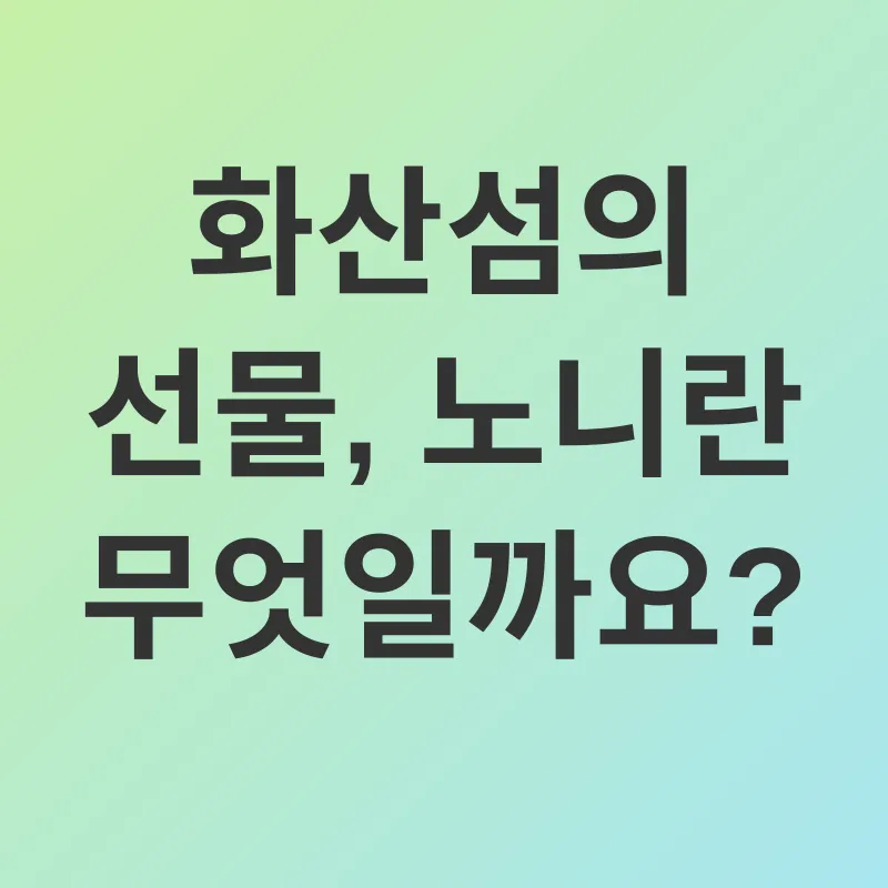 노니 효능_1