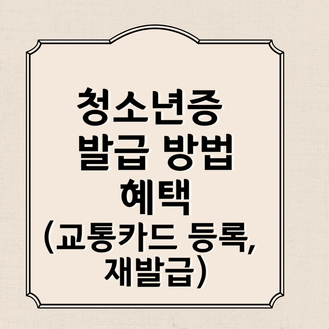 청소년증 발급 방법과 혜택 (교통카드 등록&#44; 재발급)