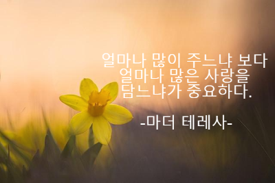 수선화 한 송이