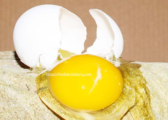 깨진 계란 사진