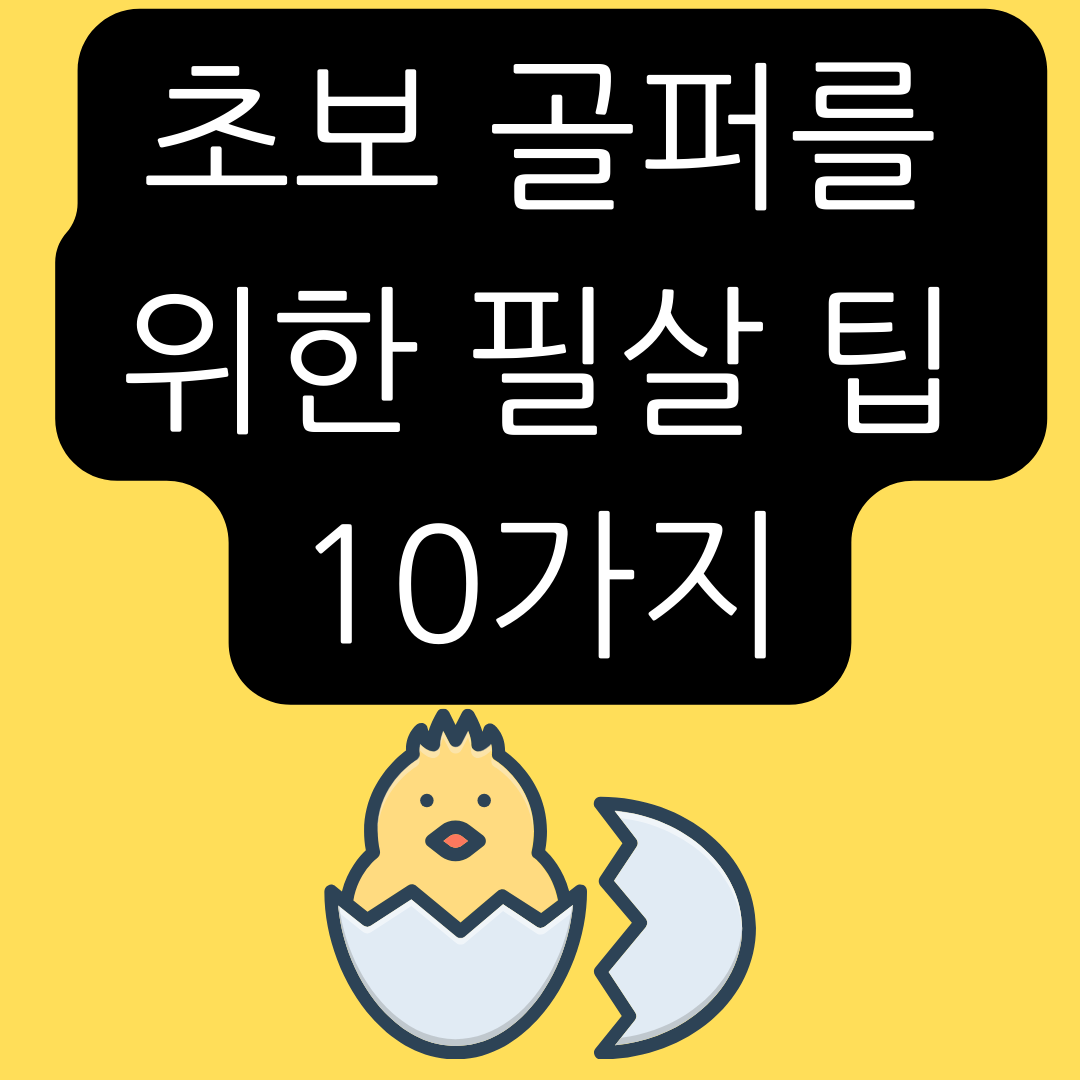 초보-골퍼-팁들