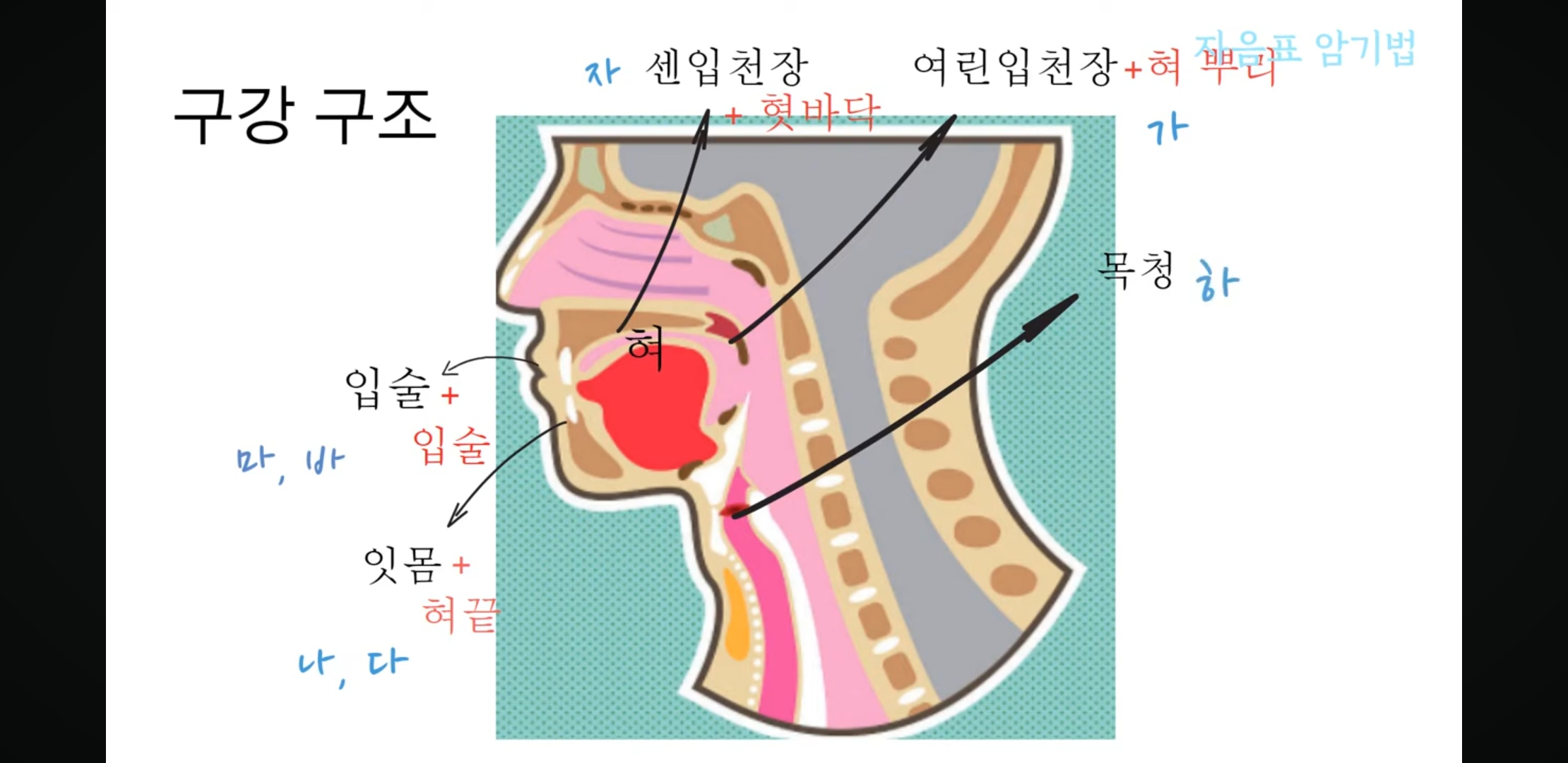 시요정_니케 :: 자음표 모음표 쉽게 외우기